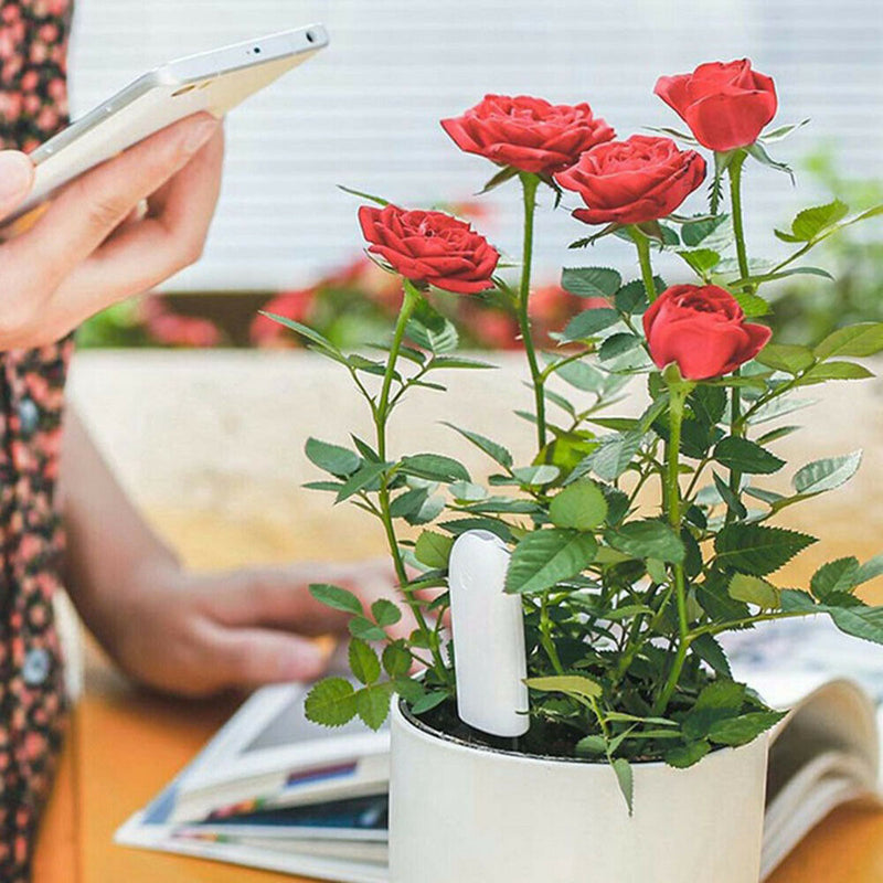 Flower Care Smart Monitor - Soil & Light Sensor with App Connectivity for Optimal Plant Care